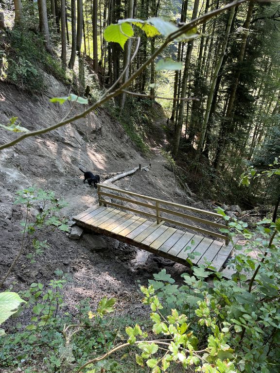 Wanderweg und Holzsteg sind wieder zugänglich