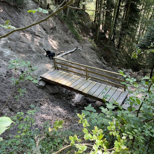 Wanderweg und Holzsteg sind wieder zugänglich